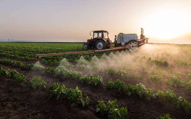Best Commercial Pest Control Services  in Henderson, NC