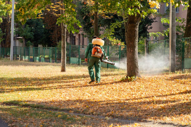 Best Residential Pest Control  in Henderson, NC
