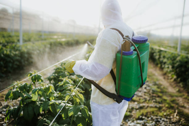 Trusted Henderson, NC Pest Control Experts